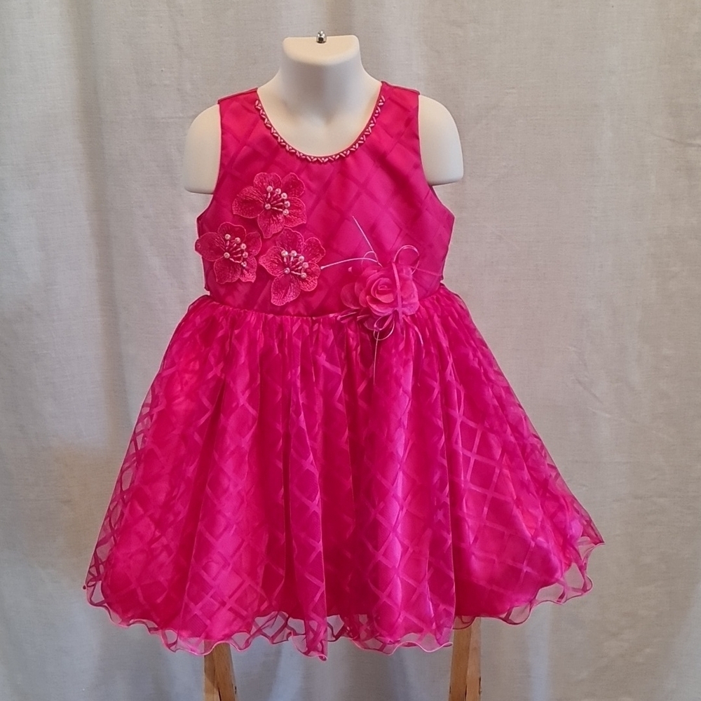 Elegant Rose Pink Girls Dress with Floral Accents, NWOT, Hand Wash, No Brand